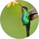 Camille Knopp profile picture